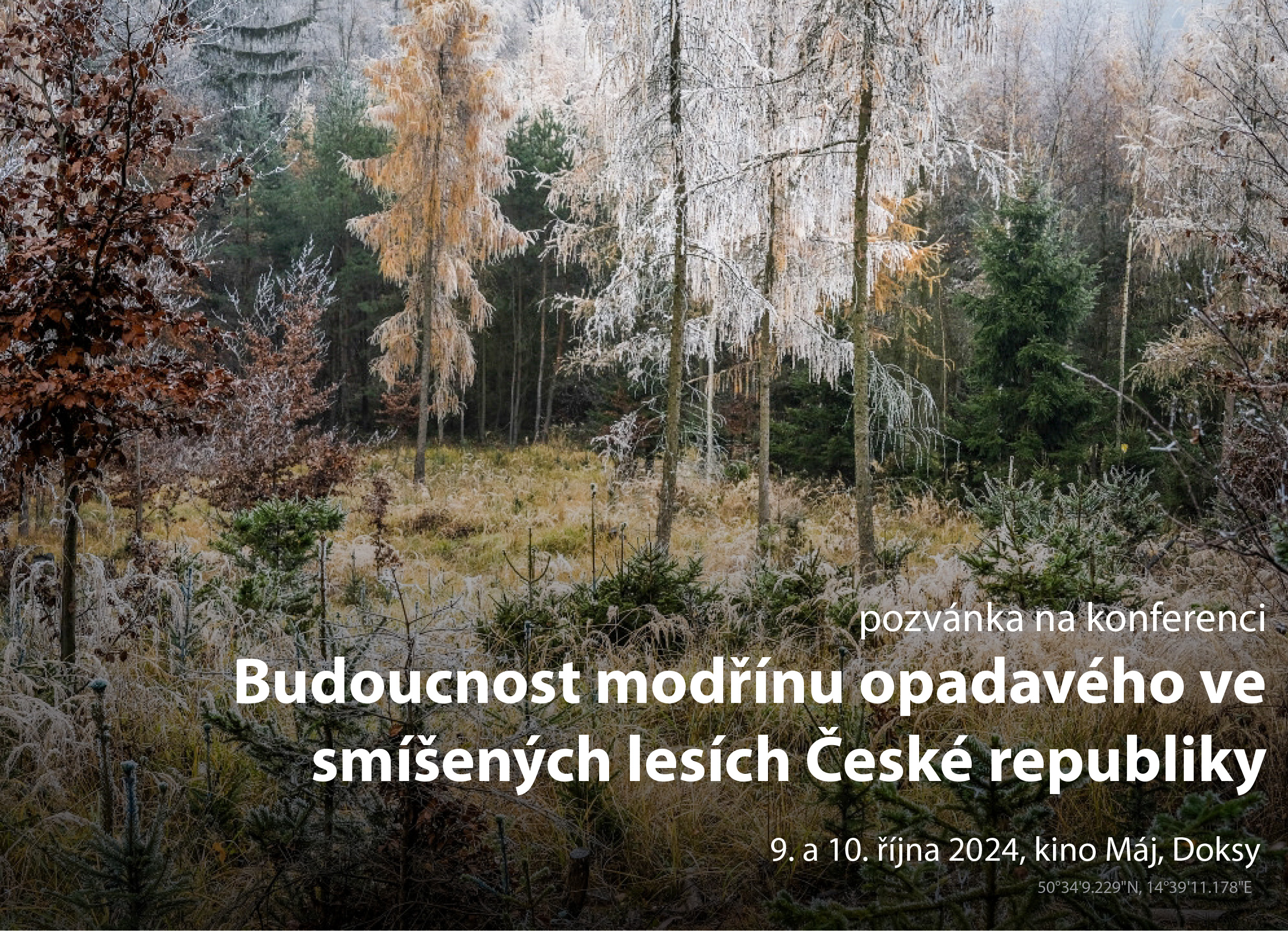 Pozvánka a podrobnosti o registraci na konferenci o modřínu v Doksech (9. a 10. října 2024)